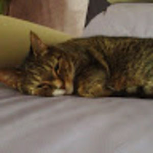 Meet your Posher, Frank